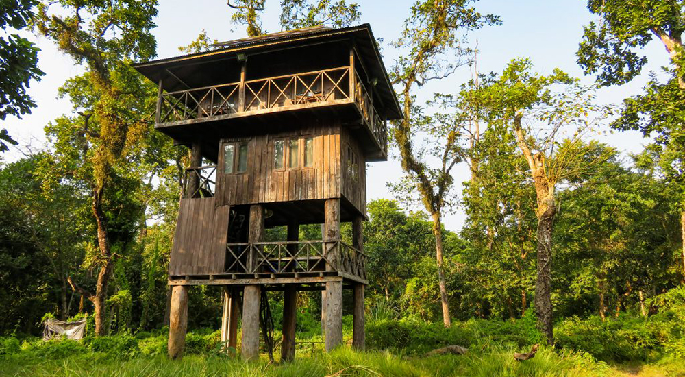 Tower Night Stay
